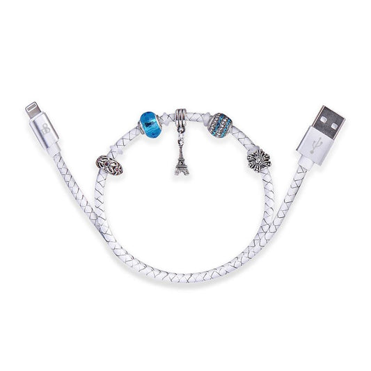 Everything You Need to Know About USB Cables | USB Cable Charger Guide - Dynamic8 Official Store